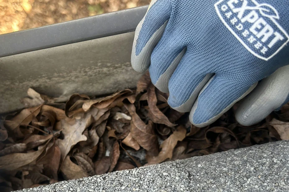 Gutter Cleaning Pikesville