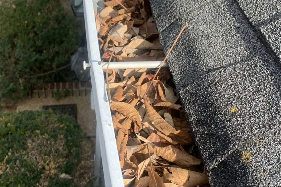 Gutter Cleaning Pikesville