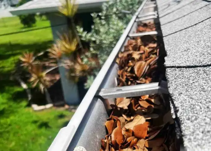 Gutter Cleaning Pikesville home page